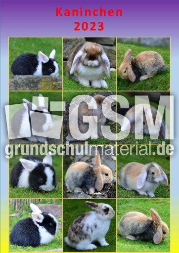 Kaninchen_2023_1.pdf